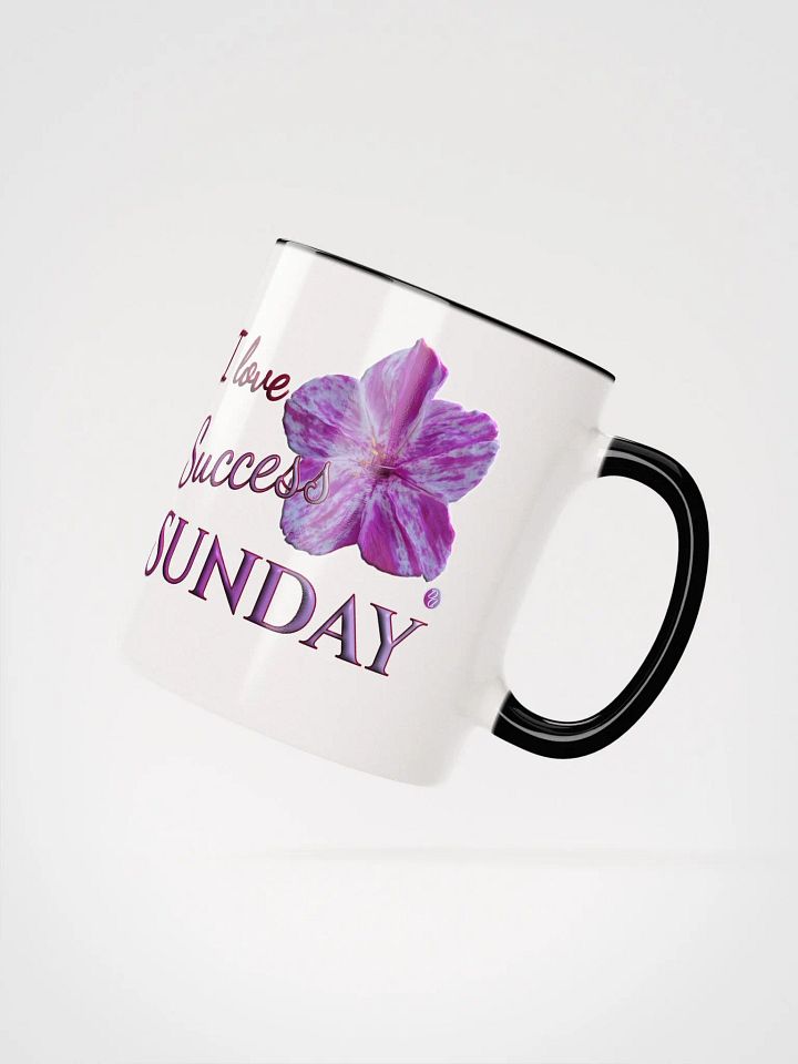 Success Sunday product image (25)
