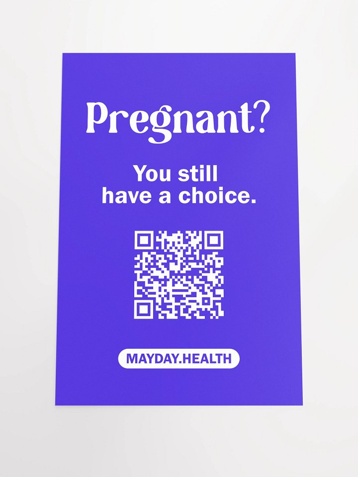 Pregnant? Poster product image (1)
