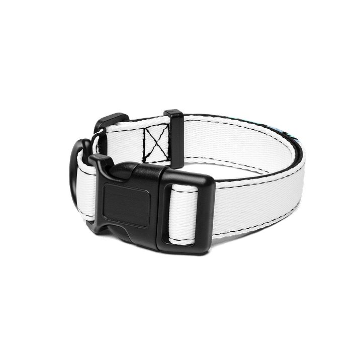 pet collar product image (1)