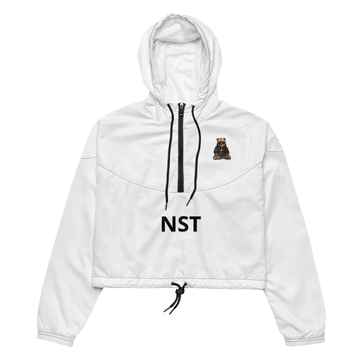 NST BEAR product image (2)