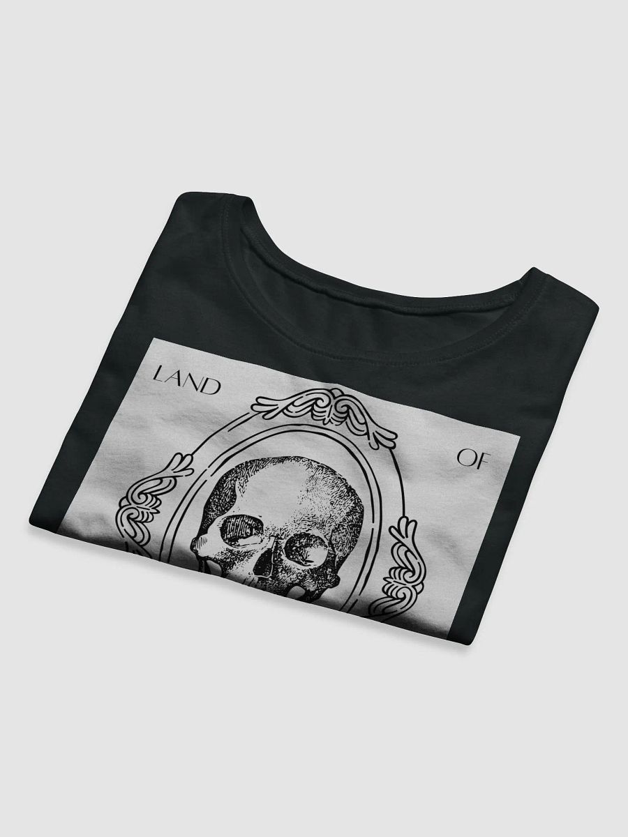Land of the Fake Mirror Crop Top product image (8)