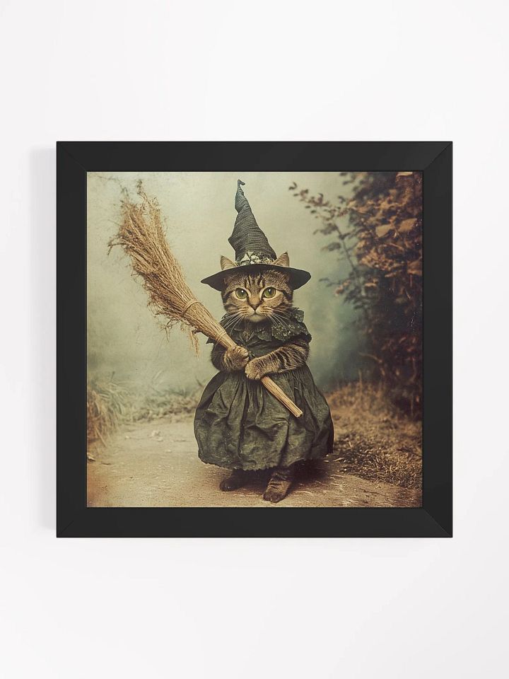 Grey Tabby Cat Witch Photography Wall Art product image (3)