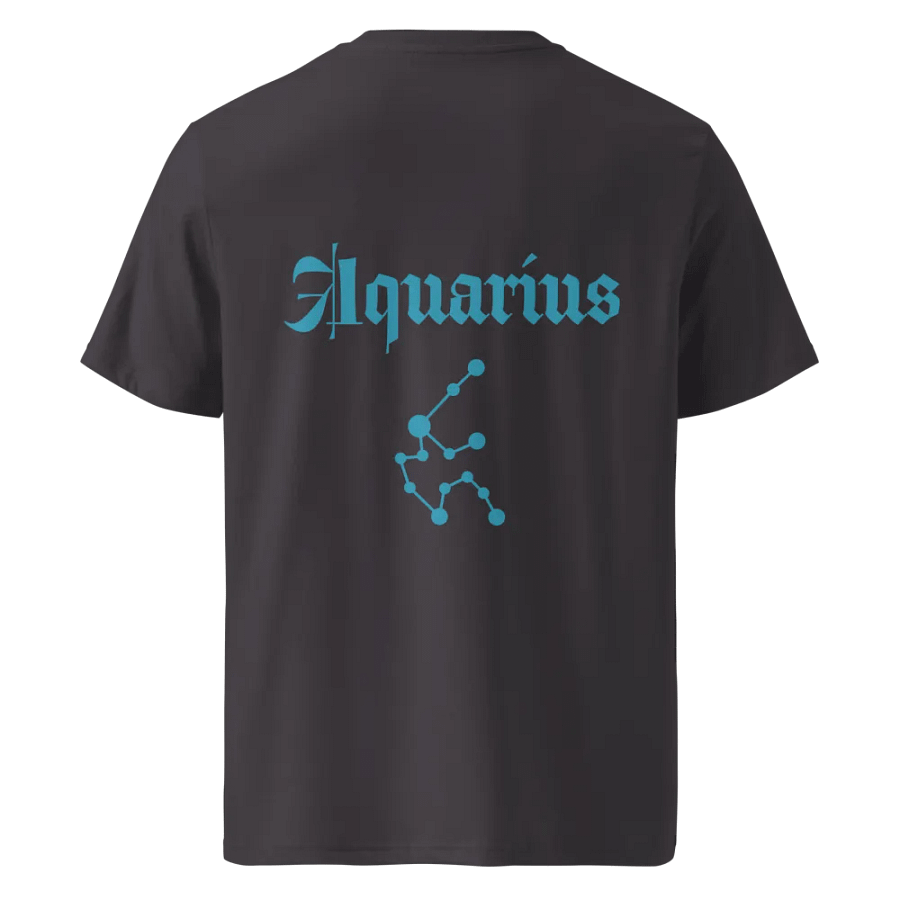 Spiral Aquarius Organic Tee product image (50)