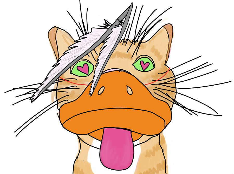 Sneaky cat product image (1)