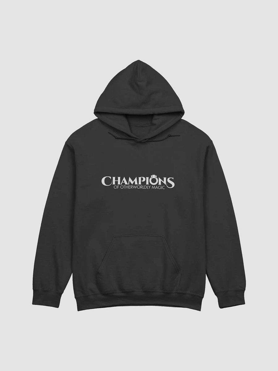 Champions hoodie. product image (1)