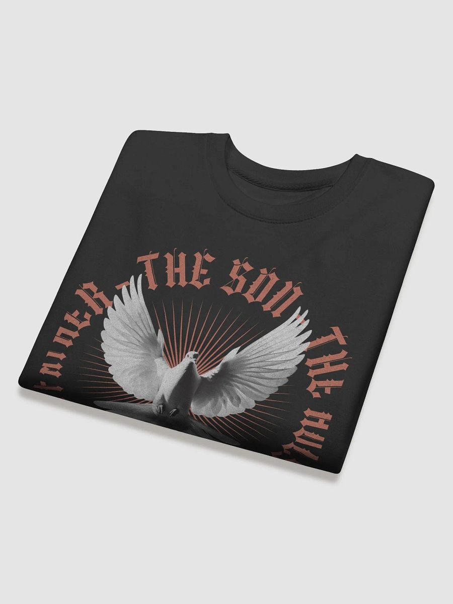 Symmetrical Dove Flight Premium Sweatshirt product image (3)