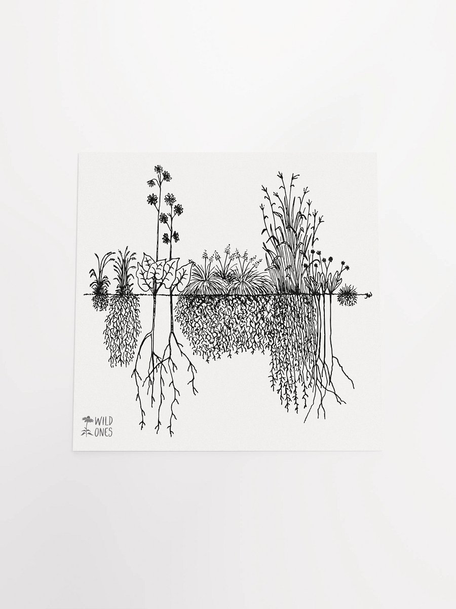Deep Roots (Poster) product image (16)