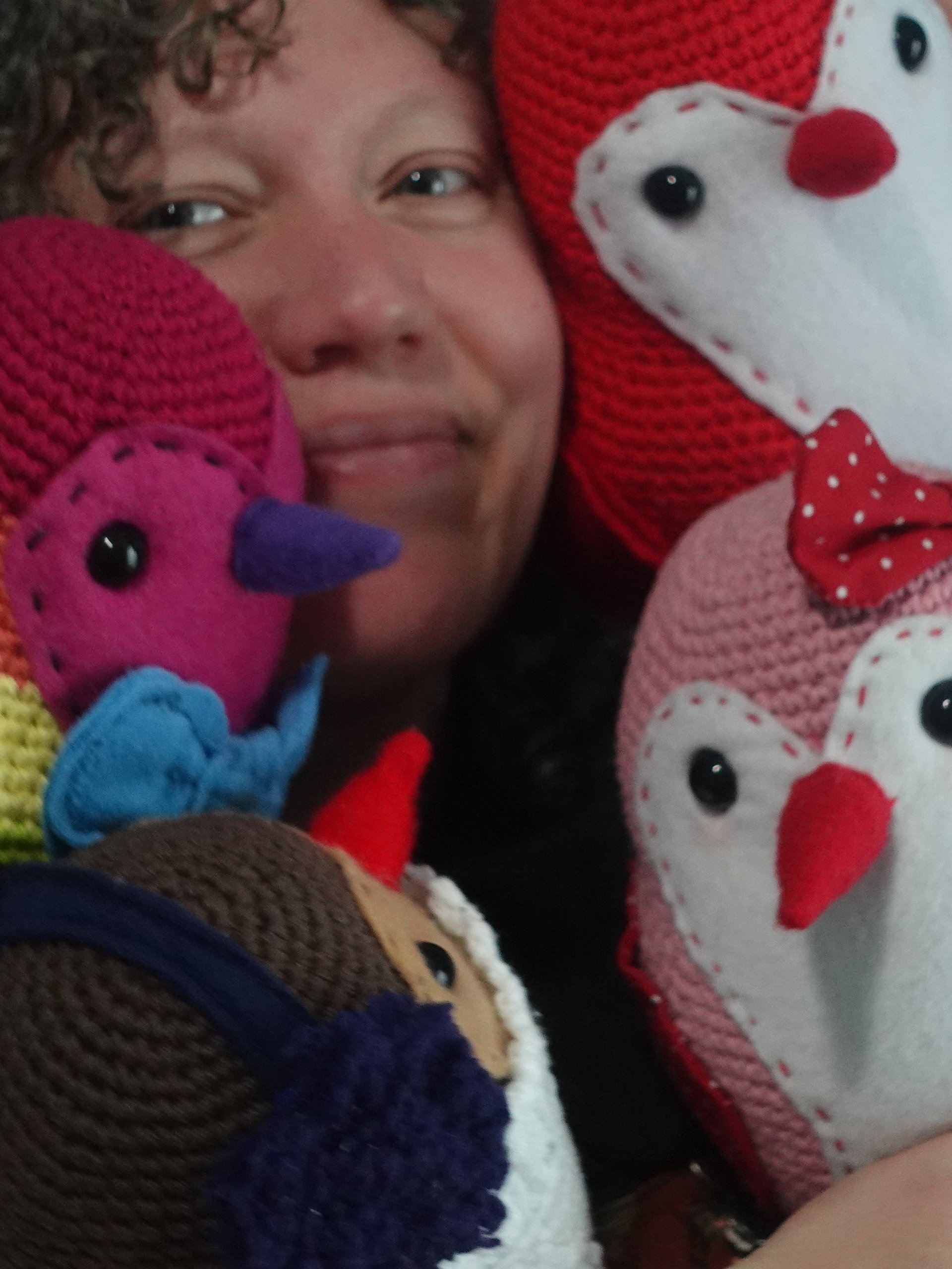 Birdzilla Crocheted Snuggle Bird Pattern product image (1)