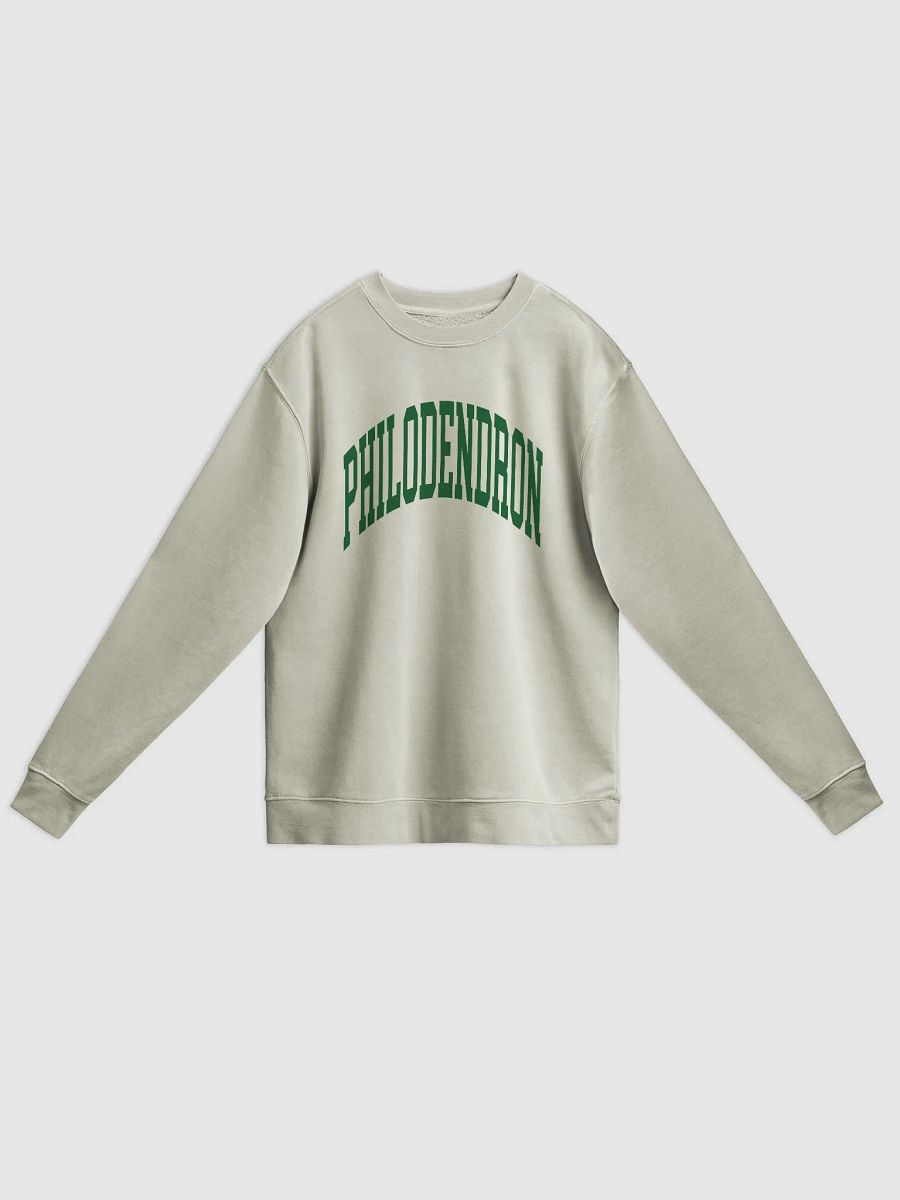 PHILODENDRON varsity unisex midweight pigment dyed crewneck product image (1)