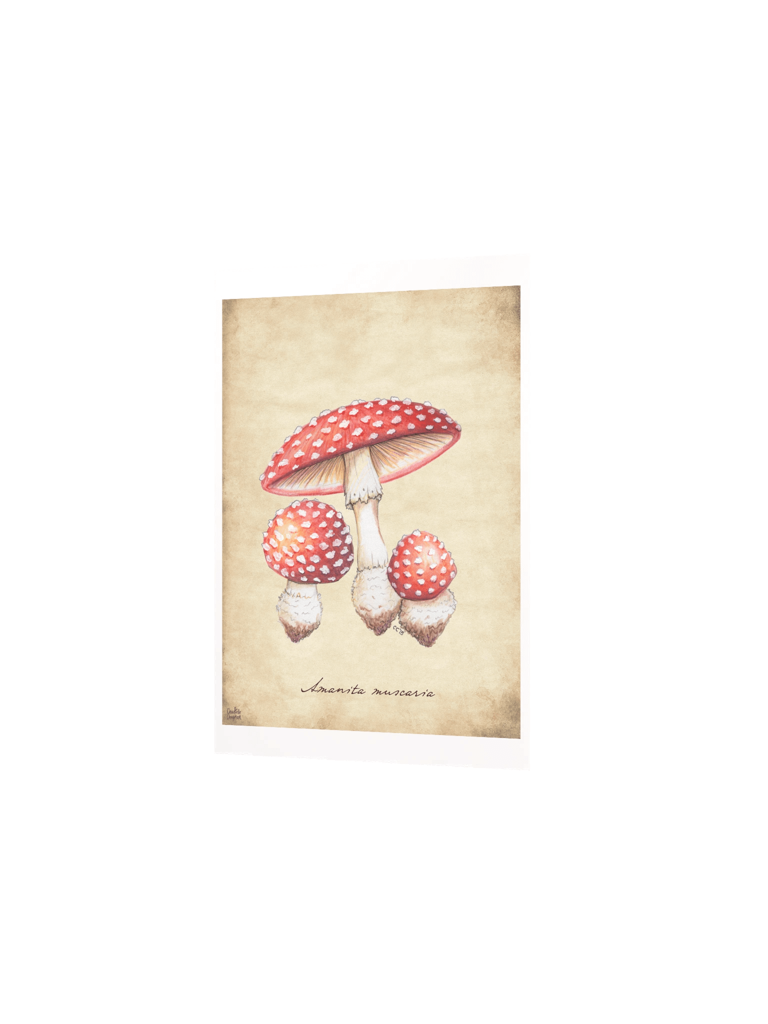 Amanita Muscaria - Art Print product image (3)
