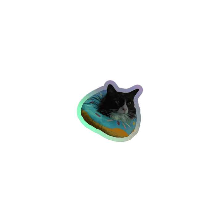 Shiny Donutfest product image (1)