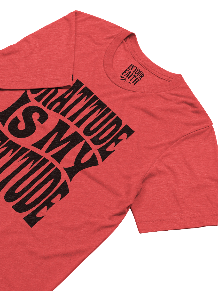 Gratitude Is My Attitude T-Shirt product image (3)