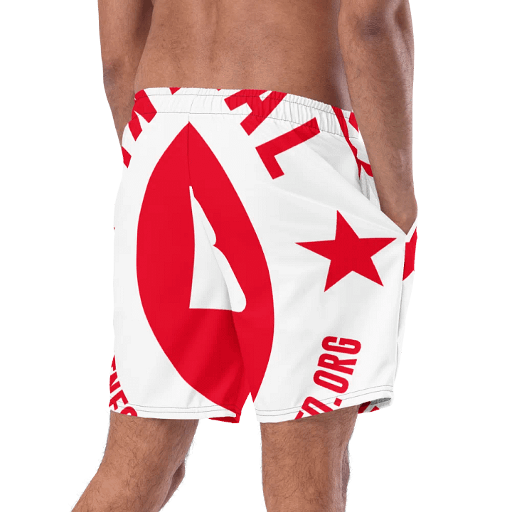 IFBNewsfeed.Org's All-Over Print Swim Trunks product image (2)