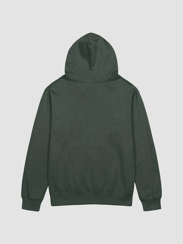 B&C Bears Hoodie product image (2)
