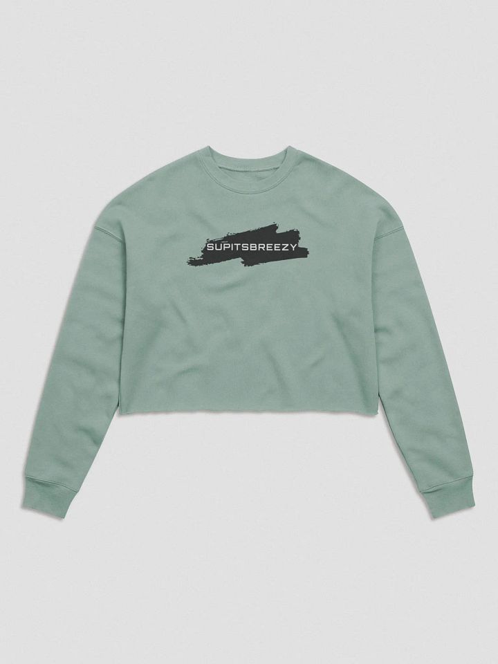 Breezy Logo Crop-Sweater! product image (1)
