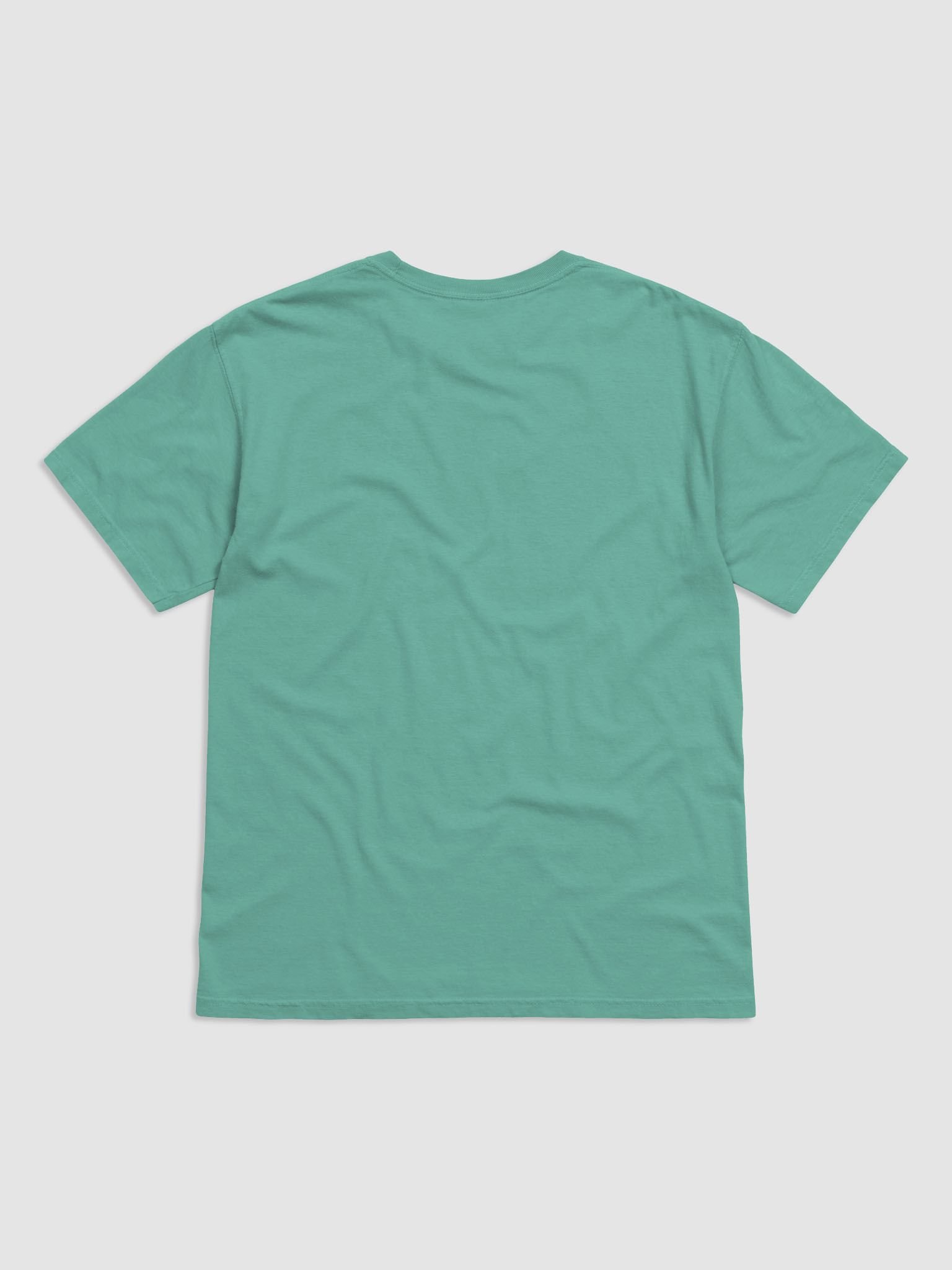 Little guy t shirt product image (4)