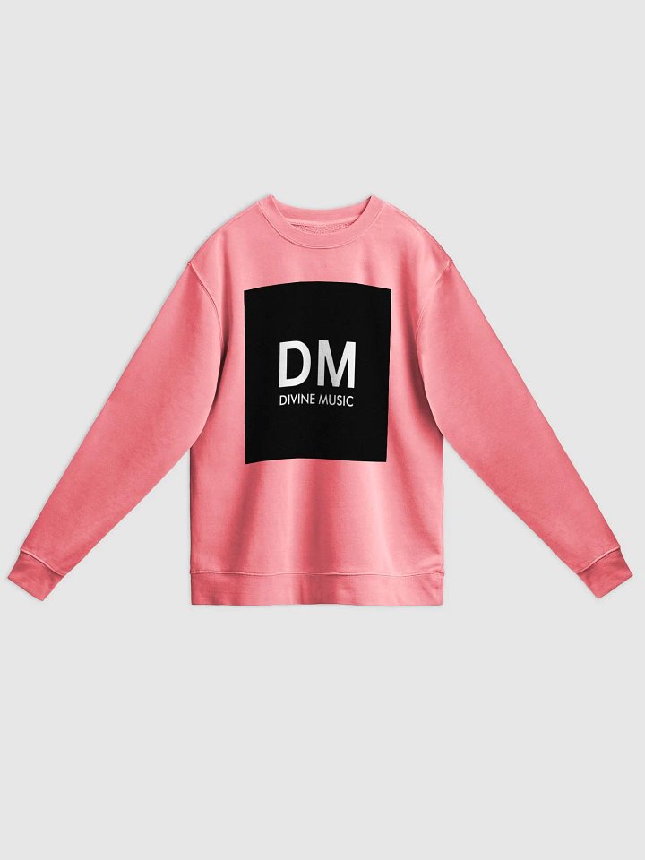 PINK SALMON SWEATSHIRT product image (1)