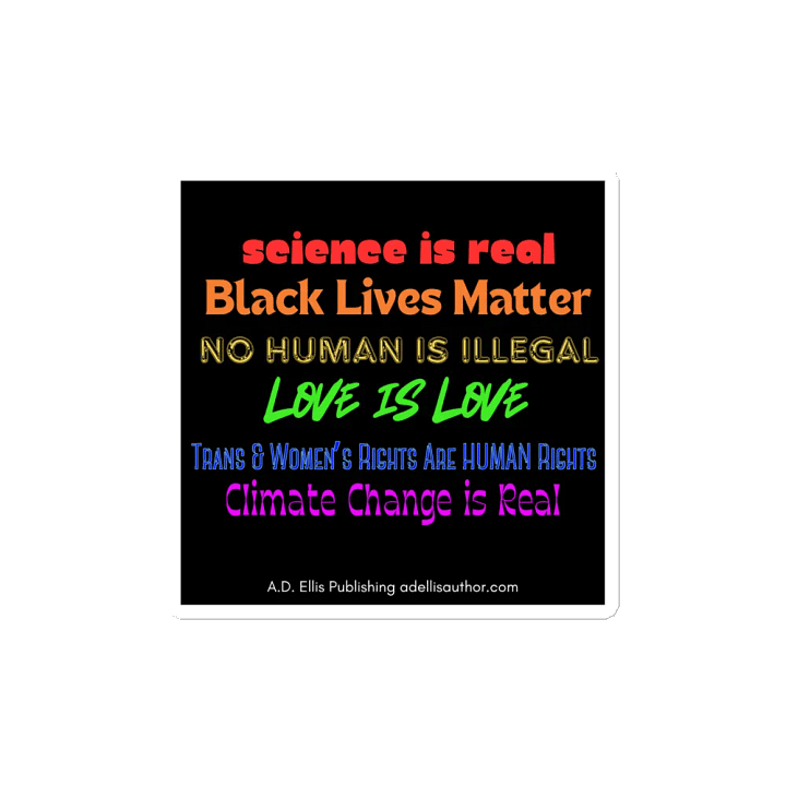 Empowerment Manifesto Magnets product image (2)
