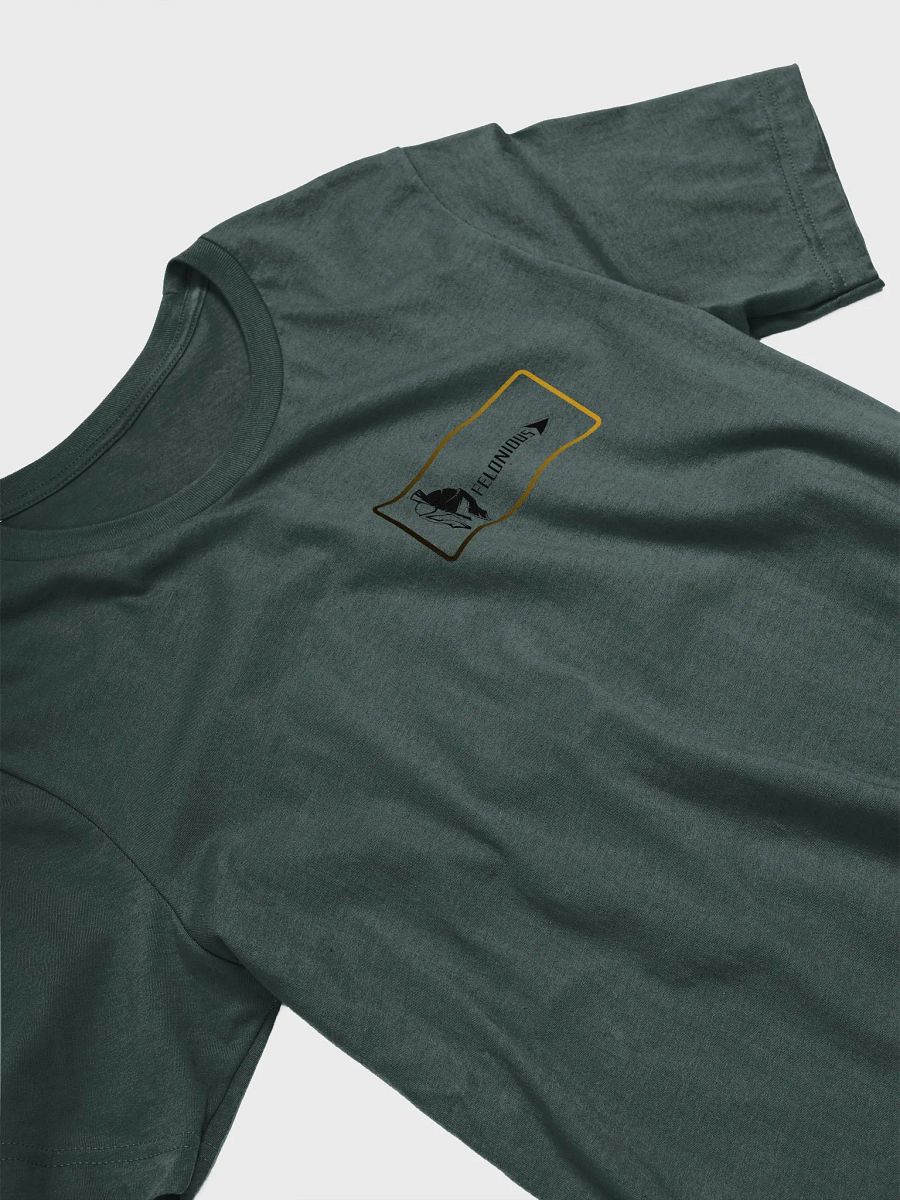 Warrior's Legacy Roman Soldier Felonious T-Shirt product image (24)