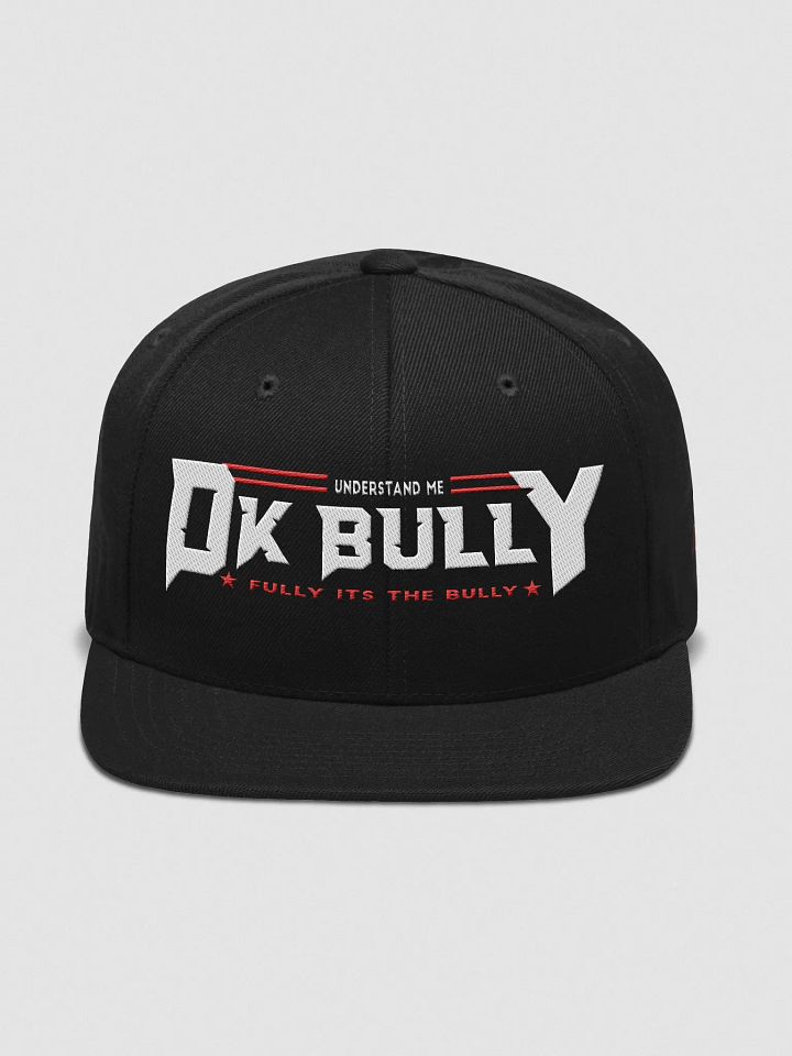 UNDERSTAND FULLY (HAT ) LD product image (1)