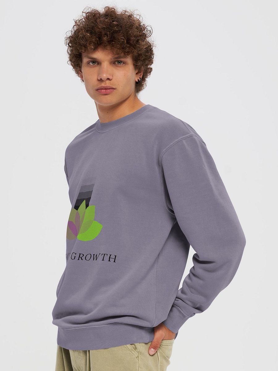 embrace growth, Unisex Pigment Dyed Sweatshirt product image (5)