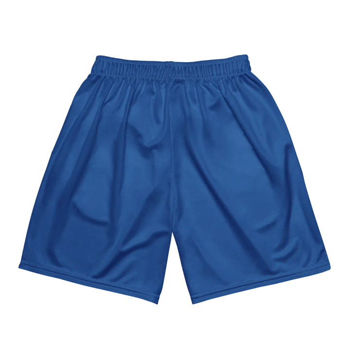 Athletic Shorts - Royal Blue product image (2)