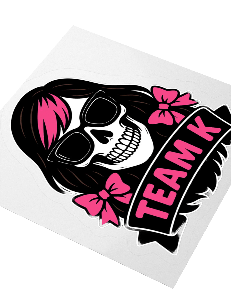 TEAM K (V-6) STICKERS product image (8)
