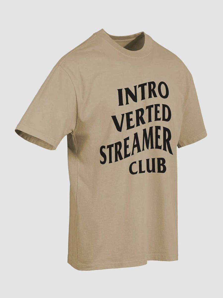 Introverted Streamer Club Oversized Tee product image (21)