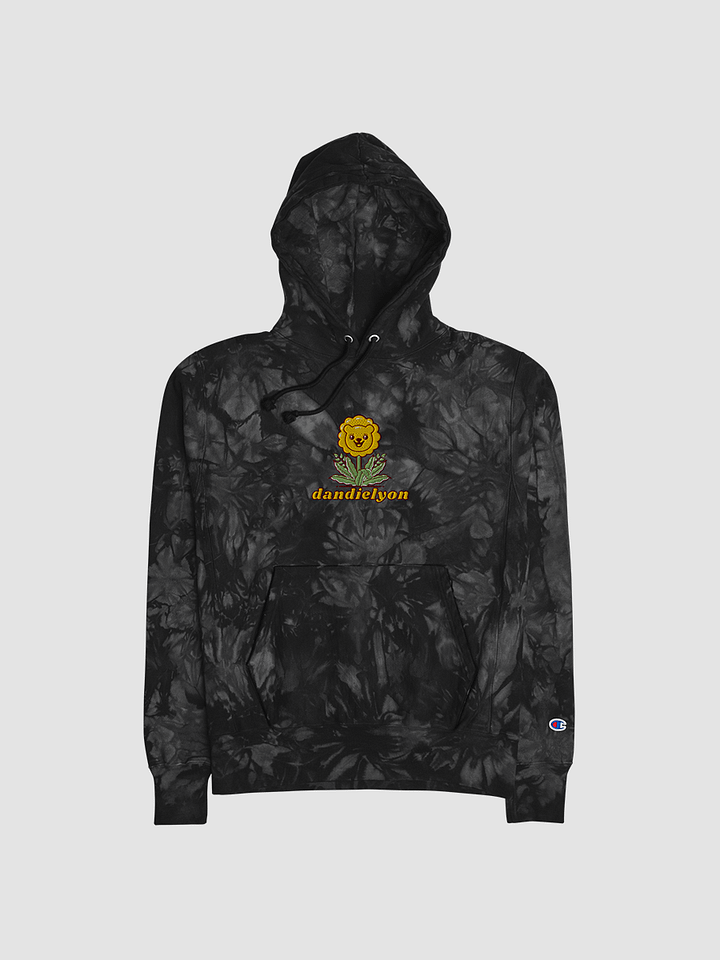dandielyon Champion tie dye hoodie product image (1)