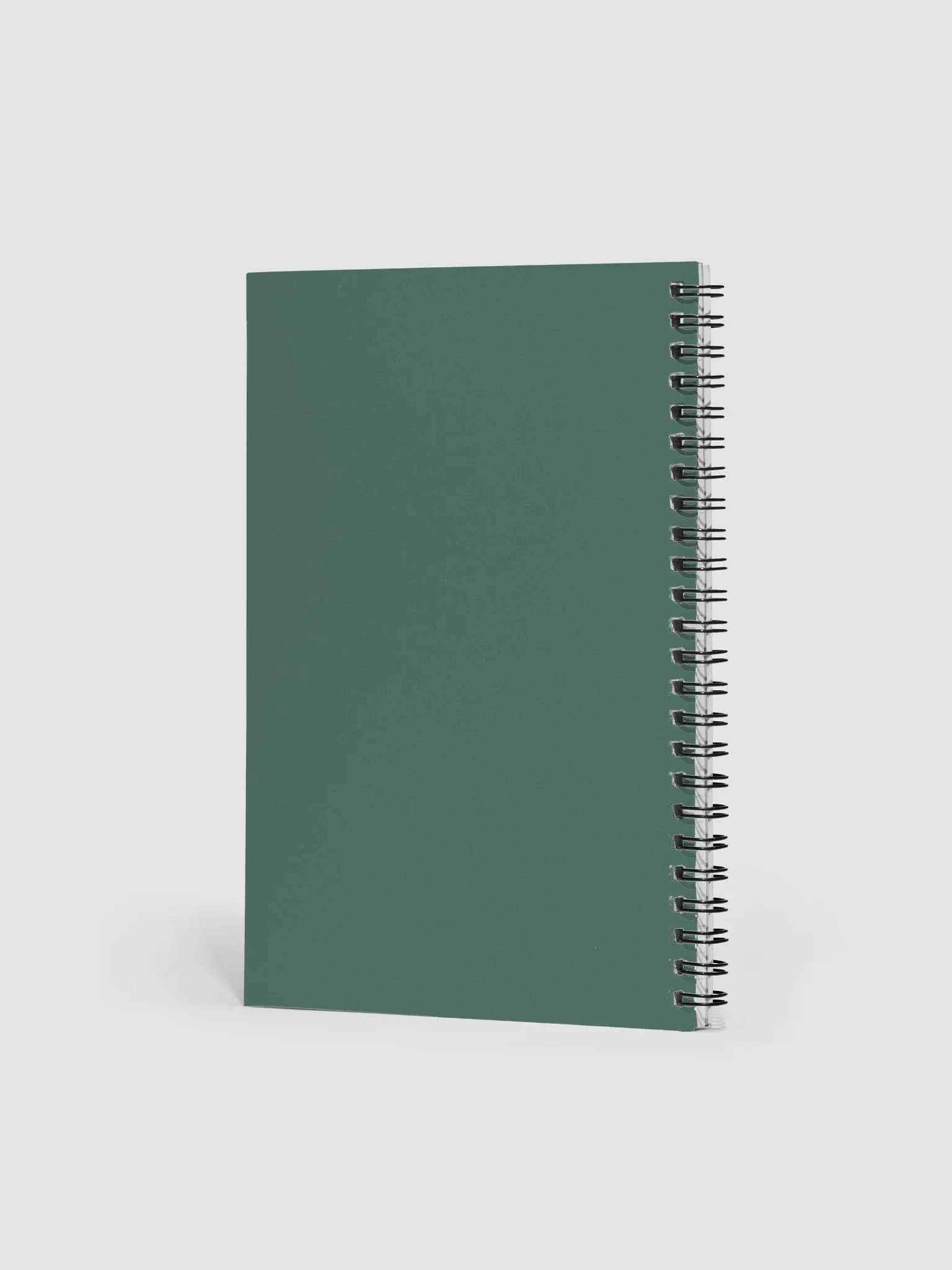 Palm Leaf Notebook product image (2)