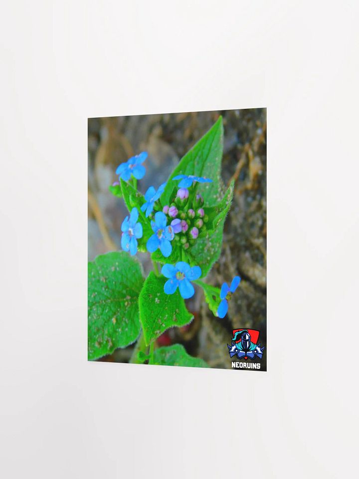 Flower Poster product image (2)