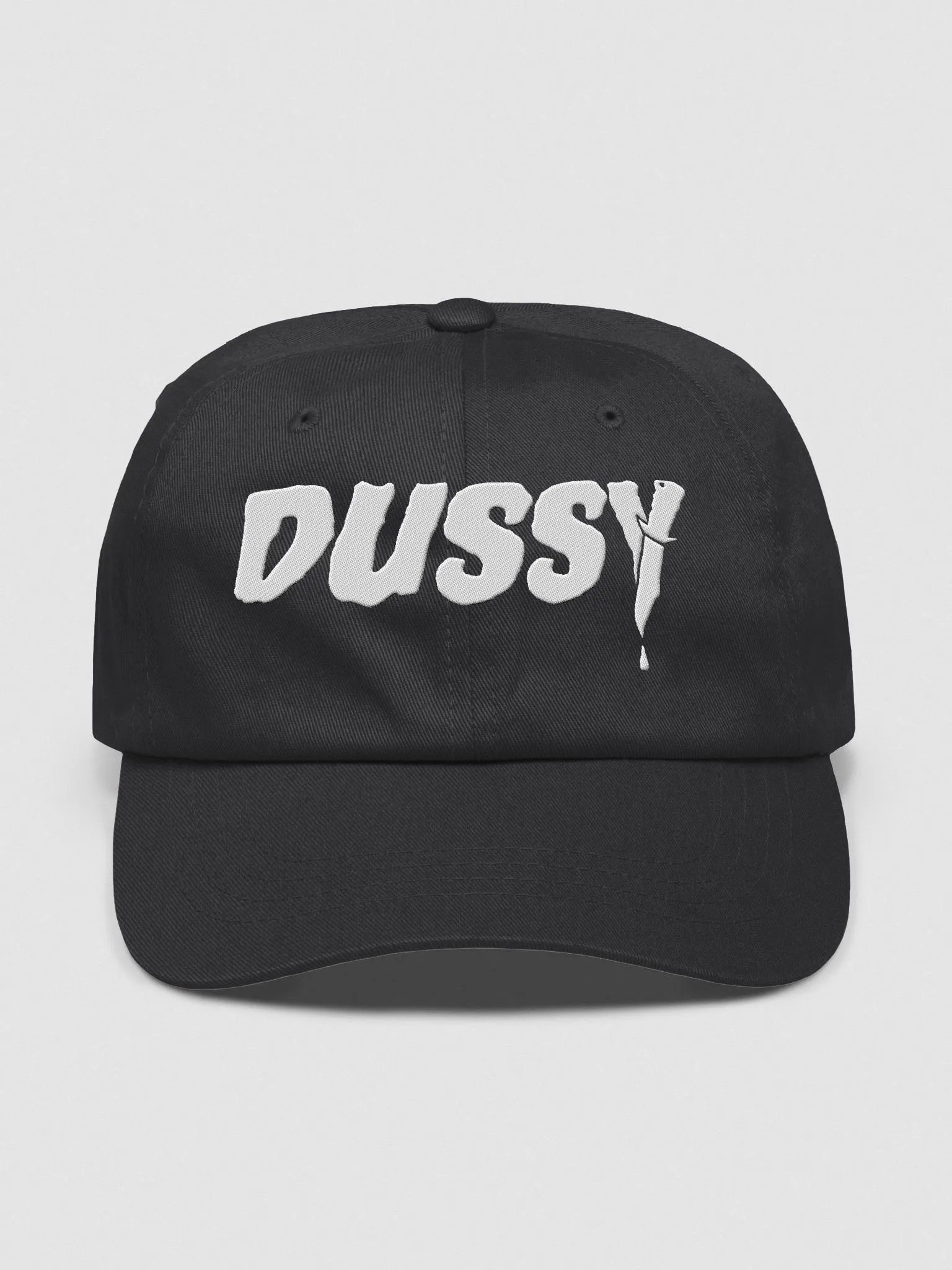 Embroidered Dussy 2025 Hat product image (2)