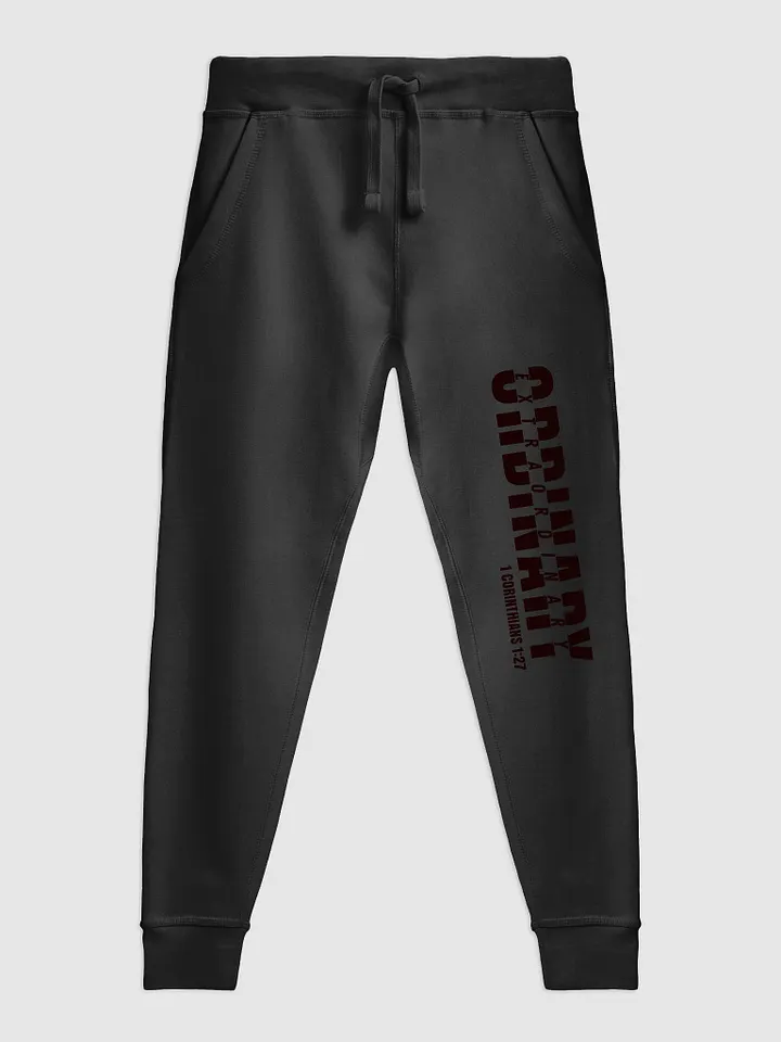 The Ordinary Joggers product image (2)