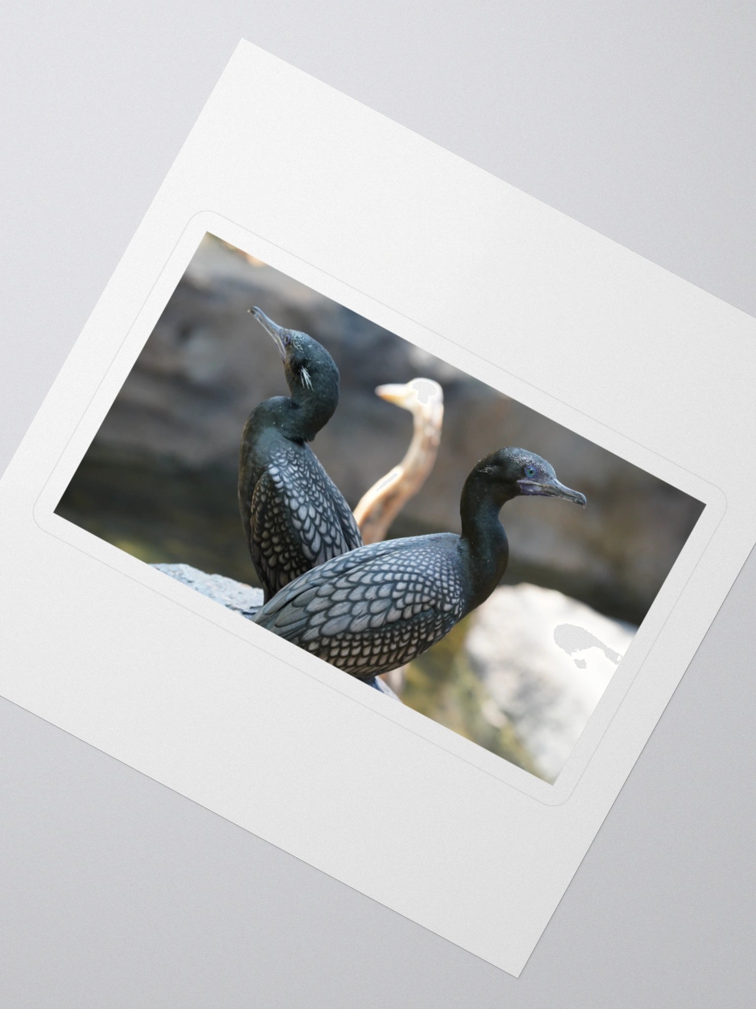 Mystic Avian Kiss Cut Stickers product image (2)
