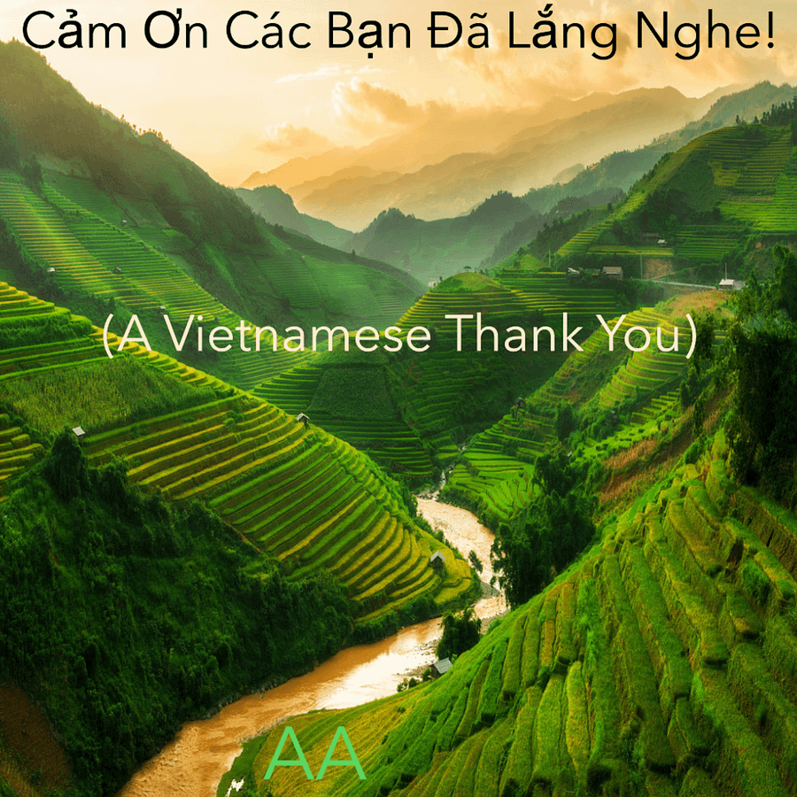 Cảm Ơn Các Bạn Đã Lắng Nghe! (A Vietnamese Thank You) product image (1)