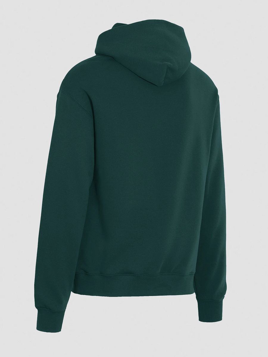 Author.Inc Premium Embroidered Hoodie product image (17)