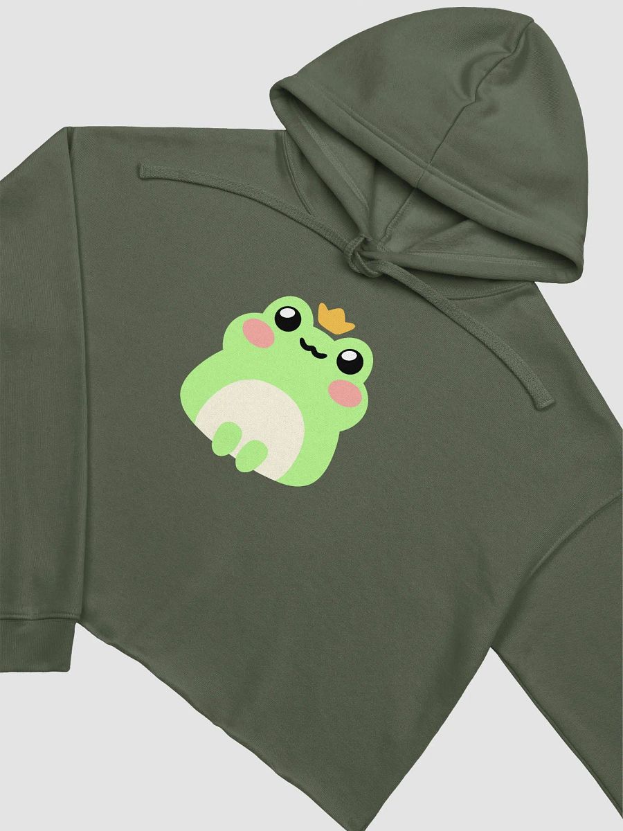 Fronk Cropped Hoodie product image (3)