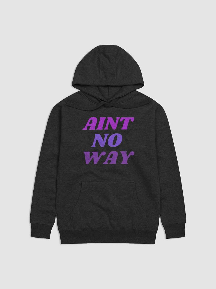 Aint no way hoodie product image (2)