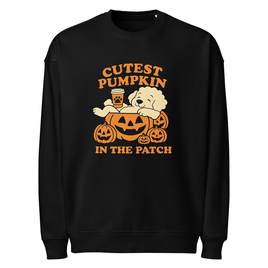 Cutest fall doggo sweater product image (1)