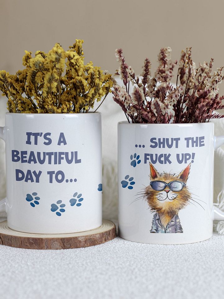 Cat Chat: "It's a beautiful day to... shut the fuck up". White glossy mug product image (1)