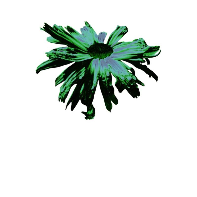 Abstract Green Floating Daisy product image (1)