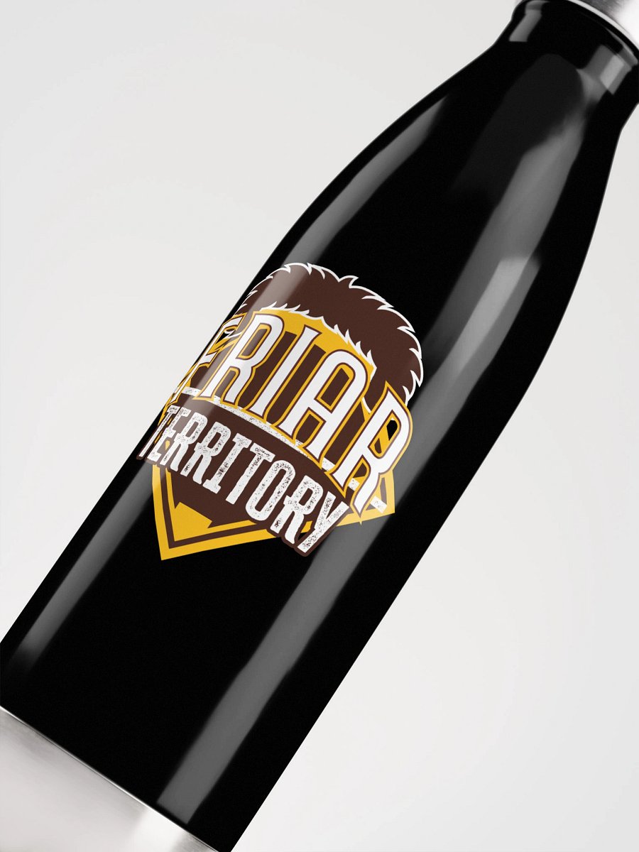Stainless Steel Water Bottle product image (5)