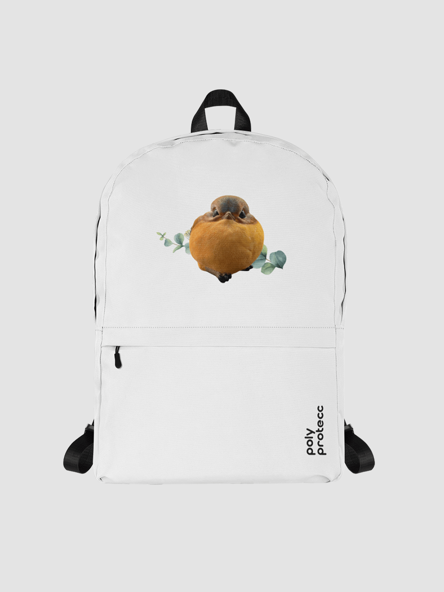 PolyProtecc Backpack product image (1)