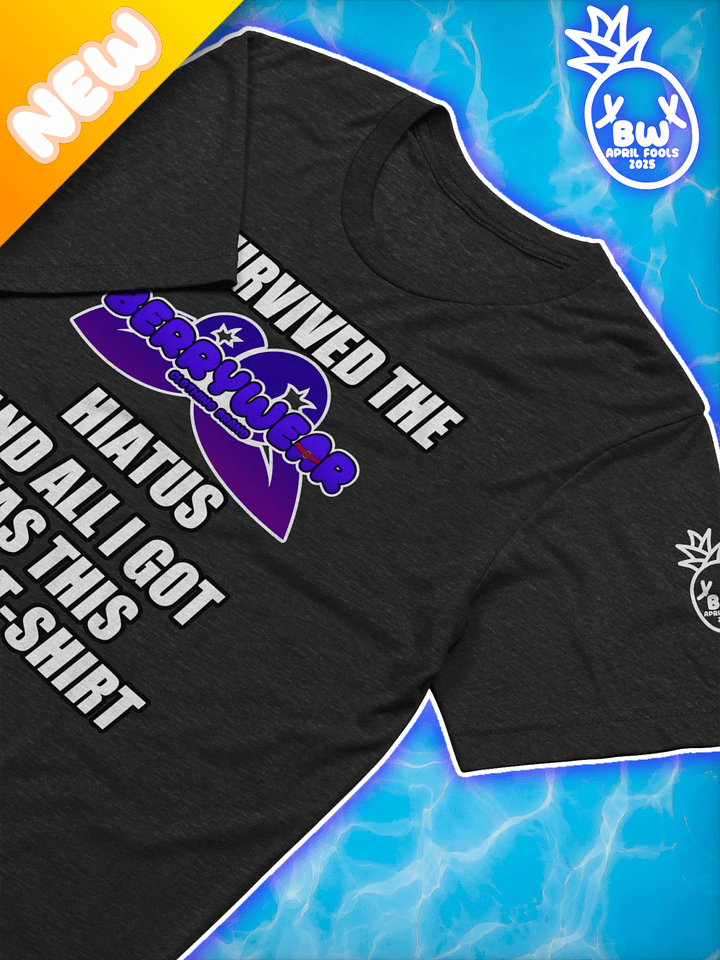 Hiatus - T-Shirt product image (1)