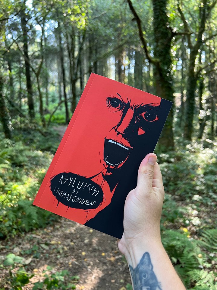 'Asylum(s)' - paperback product image (1)