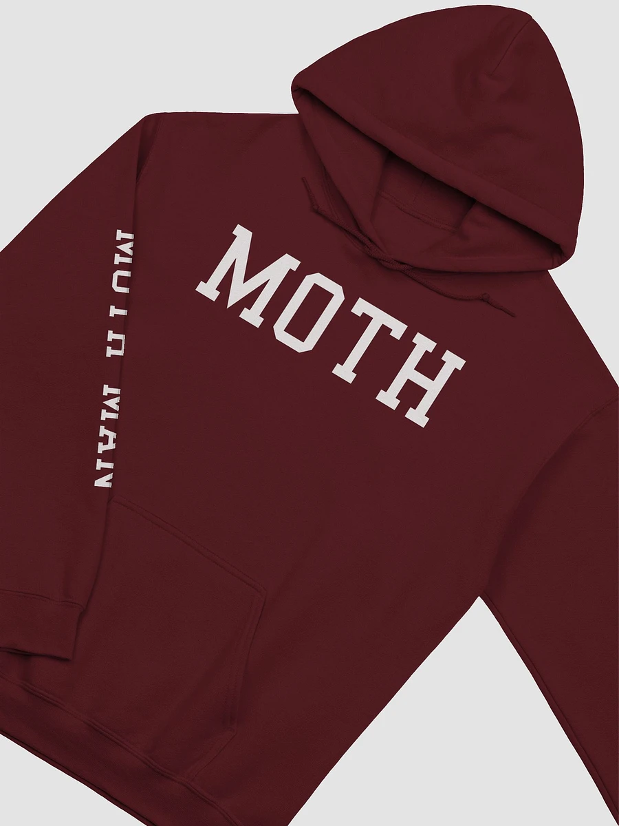 (2 sided) Moth Man classic sleeve print hoodie product image (31)