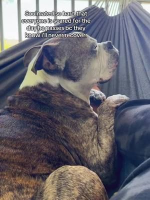 My biggest fear. He is my world😭😭😭 #fypシ #soulmate #relatable #dogsoftiktok #PetsOfTikTok 