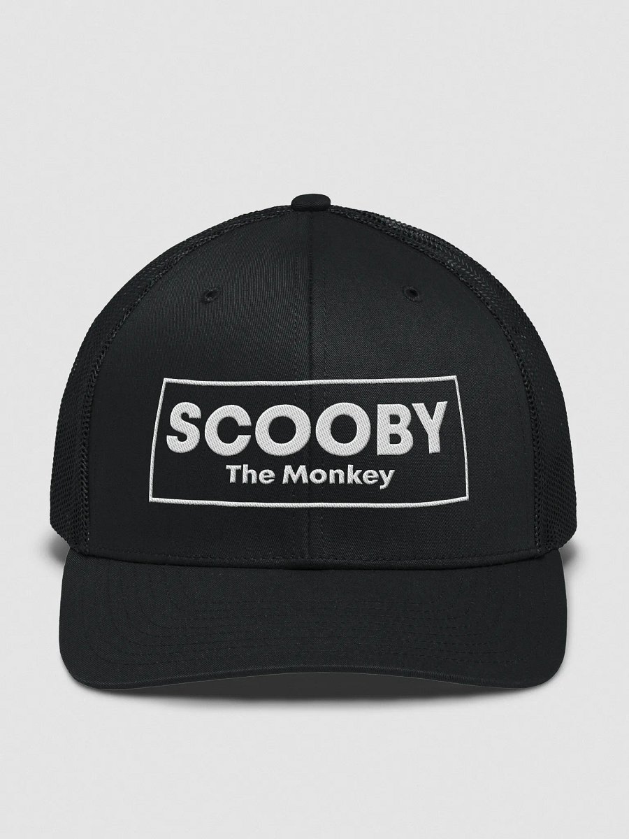 Scooby the Monkey – Hat product image (1)