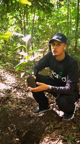 What if planting a tree wasn’t just about the planet… but about something deeply personal too?

Whether it’s honoring a loved...