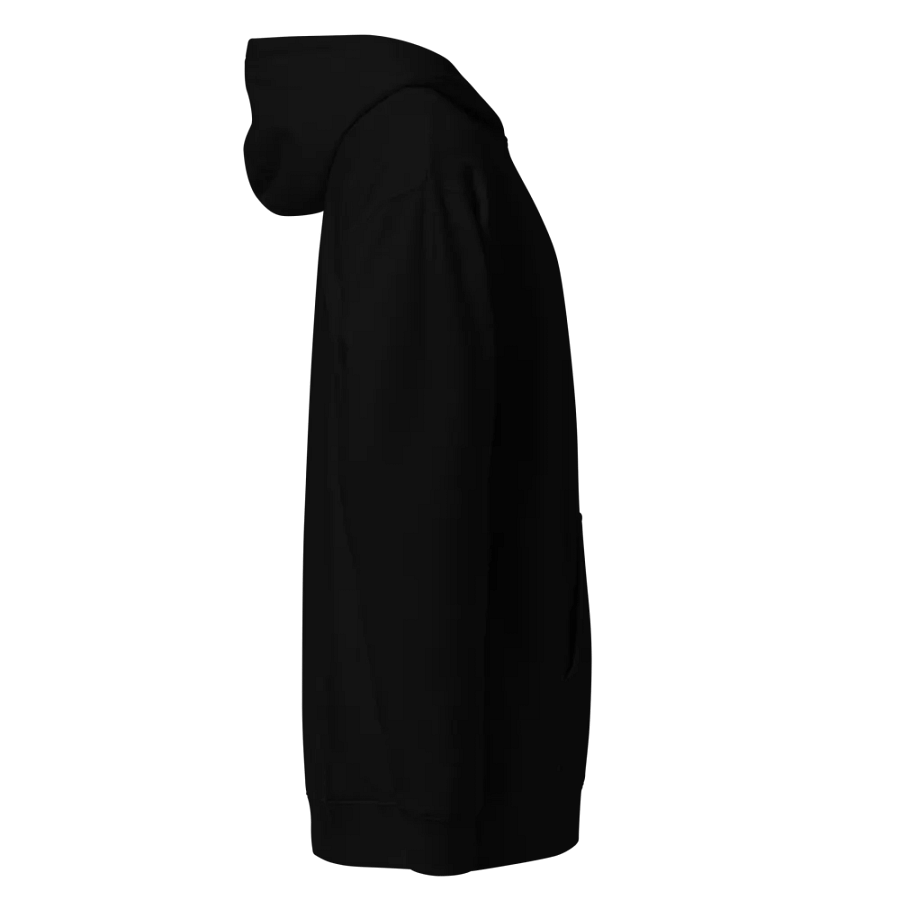 :3 Embroidered Hoodie product image (4)